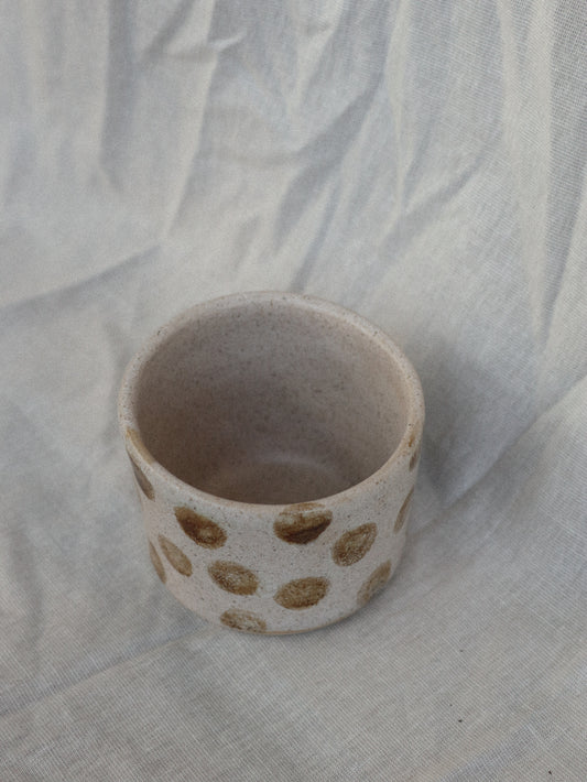 tasse "dott"