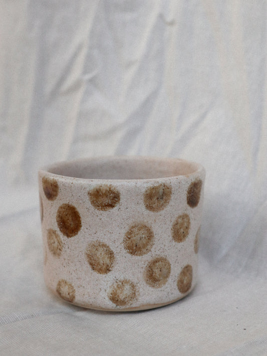 tasse "dott"