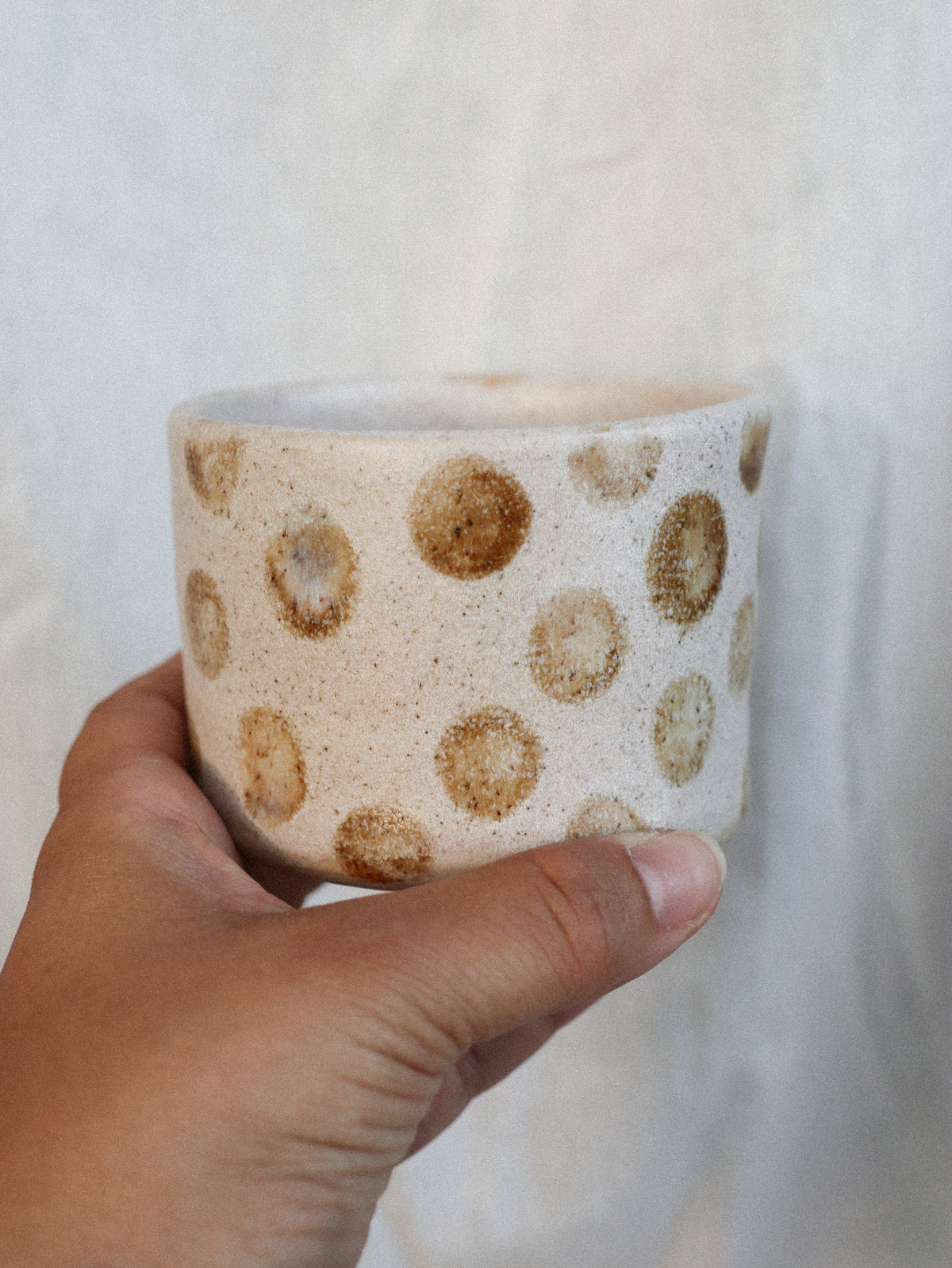 tasse "dott"
